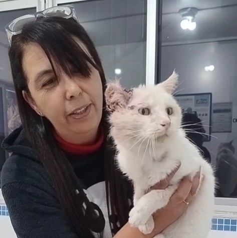 Imagem da notícia